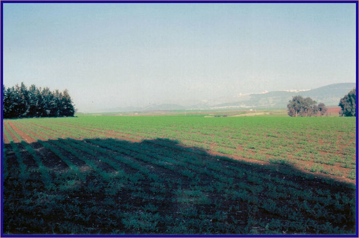 Looking towards Nazareth from the the base of Mount Tabor
